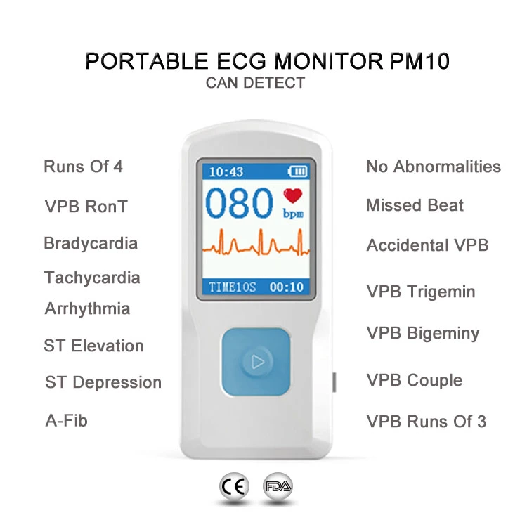 Portable Ultrasound Apparatus Smart ECG Monitor