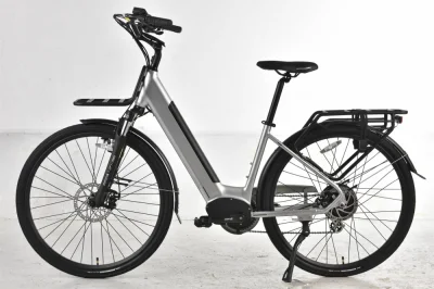 Bicicleta elétrica de caminhada com cubo traseiro 48V 500W com bateria de 12ah 576wh