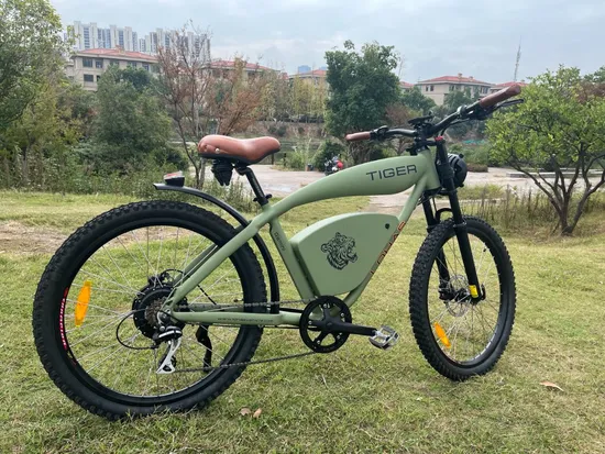 > 80 Km 2 Rodas Lítio 48V 12.5ah Tubo Bicicleta Elétrica Shimano Tourney 7 Velocidades Ebike