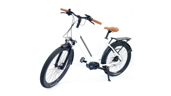 OEM Shimano 7 engrenagens de velocidade bicicleta elétrica 250 W suspensão total Vinka 36 V 250 W conjunto de acionamento intermediário motor Ebike